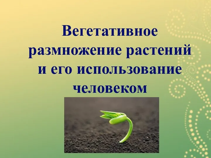 Вегетативное размножение растений и его использование человеком