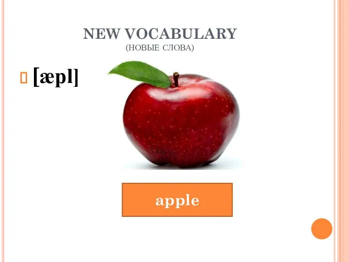 NEW VOCABULARY (НОВЫЕ СЛОВА) [æpl] apple