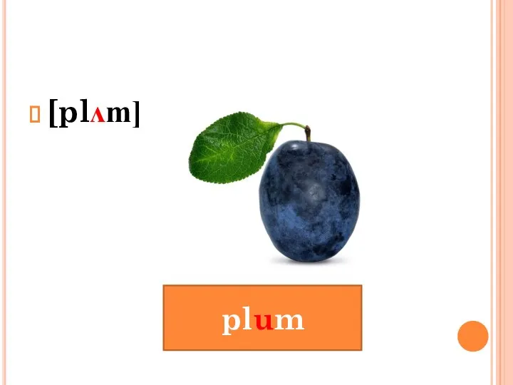 [plʌm] plum