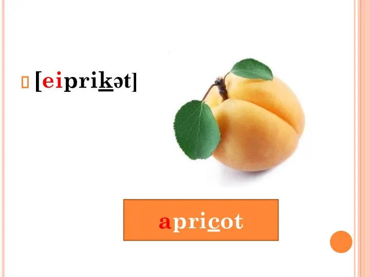 [eiprikət] apricot