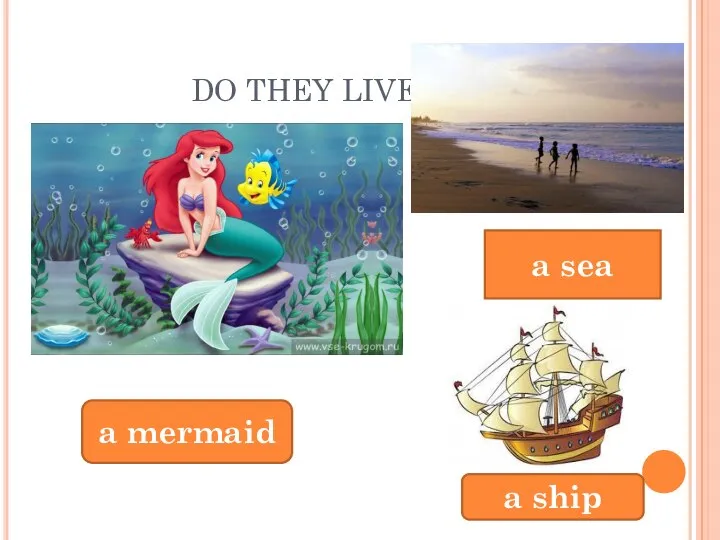 DO THEY LIVE….? a mermaid a sea a ship