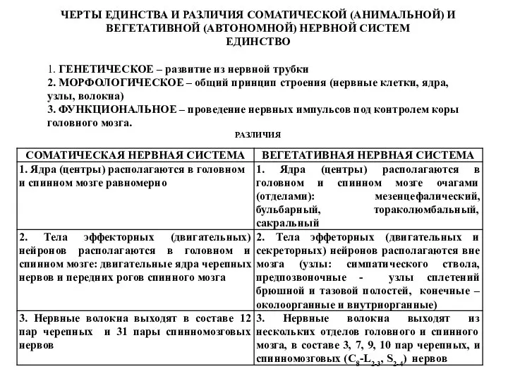 ЧЕРТЫ ЕДИНСТВА И РАЗЛИЧИЯ СОМАТИЧЕСКОЙ (АНИМАЛЬНОЙ) И ВЕГЕТАТИВНОЙ (АВТОНОМНОЙ) НЕРВНОЙ СИСТЕМ ЕДИНСТВО