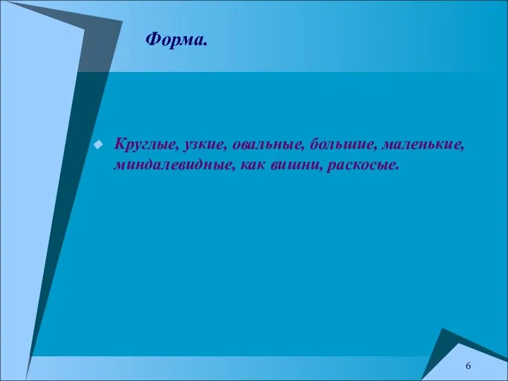 Форма. Круглые, узкие, овальные, большие, маленькие, миндалевидные, как вишни, раскосые. 6