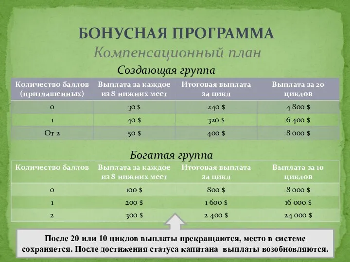 Компенсационный план Богатая группа Создающая группа После 20 или 10 циклов выплаты