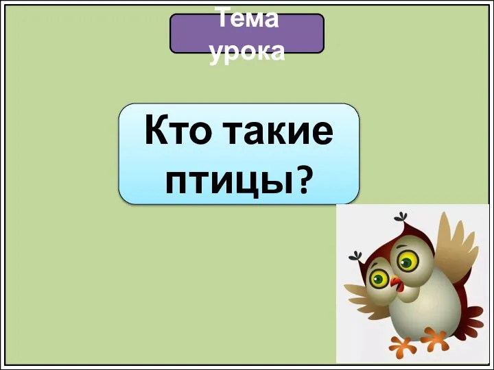 Тема урока Кто такие птицы?