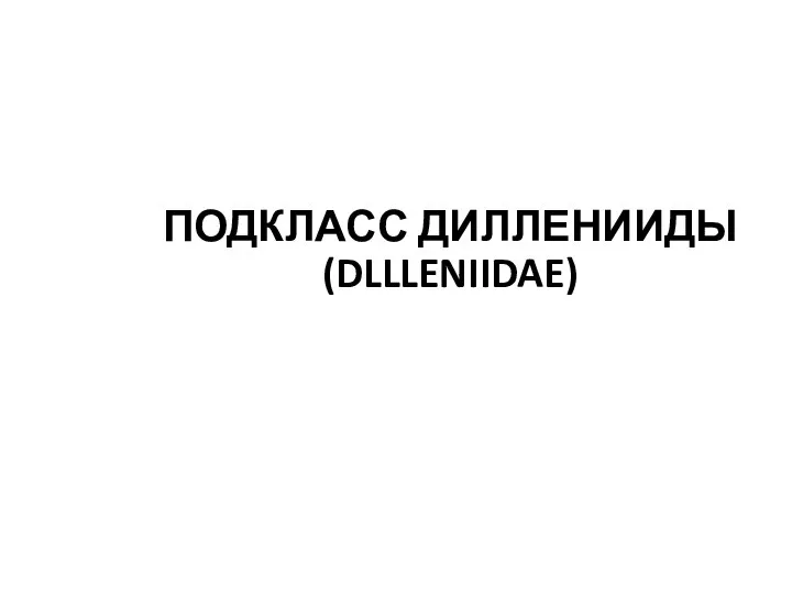 ПОДКЛАСС ДИЛЛЕНИИДЫ (DLLLENIIDAE)