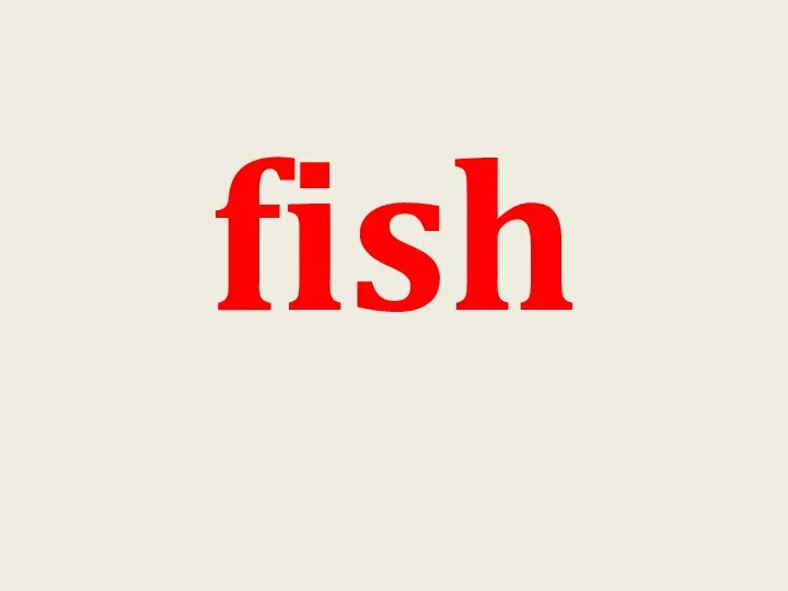 fish