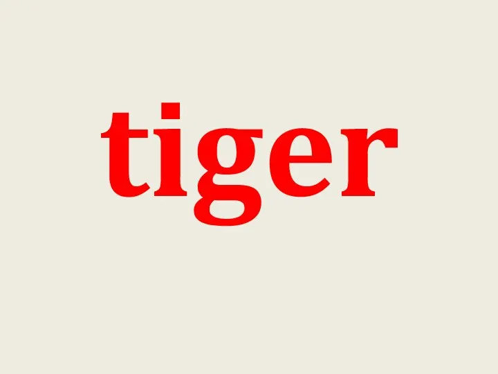 tiger