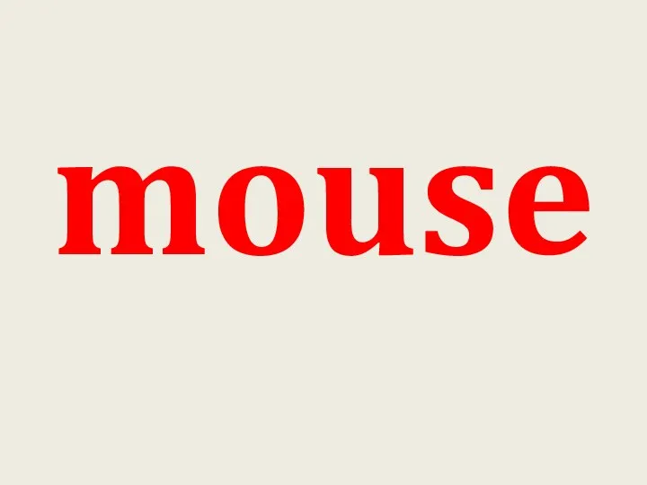 mouse