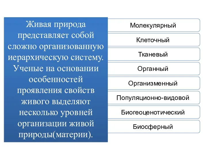 Живая природа представляет собой сложно организованную иерархическую систему. Ученые на основании особенностей