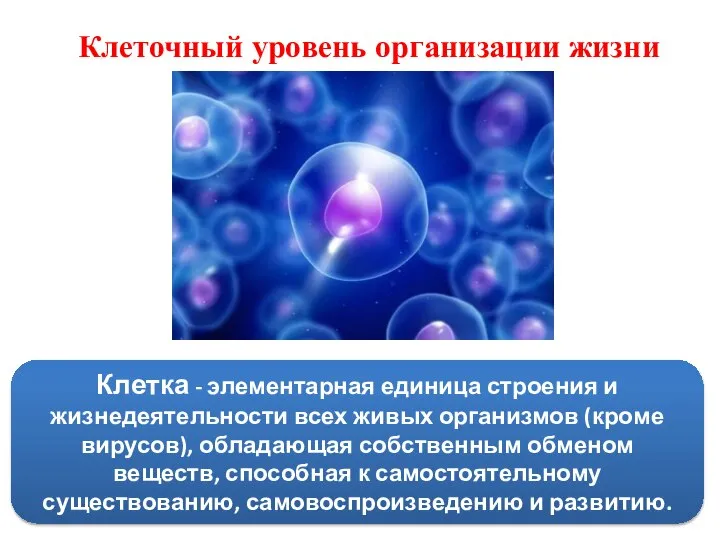 Клеточный уровень организации жизни Клетка - элементарная единица строения и жизнедеятельности всех