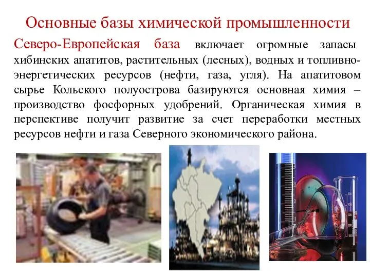 Основные базы химической промышленности Северо-Европейская база включает огромные запасы хибинских апатитов, растительных