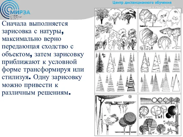 Сначала выполняется зарисовка с натуры, максимально верно передающая сходство с объектом, затем