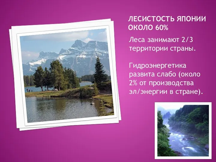 ЛЕСИСТОСТЬ ЯПОНИИ ОКОЛО 60% Леса занимают 2/3 территории страны. Гидроэнергетика развита слабо
