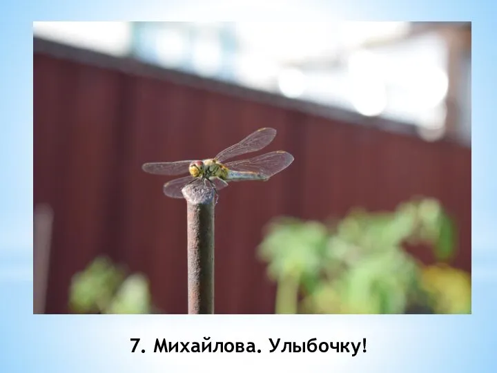 7. Михайлова. Улыбочку!