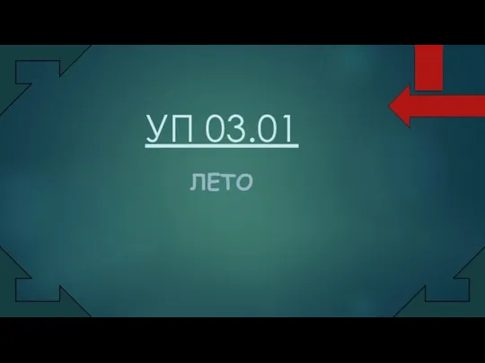 УП 03.01 ЛЕТО