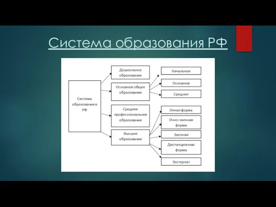 Система образования РФ