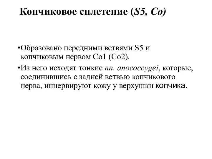 Копчиковое сплетение (S5, Co) Образовано передними ветвями S5 и копчиковым нервом Co1