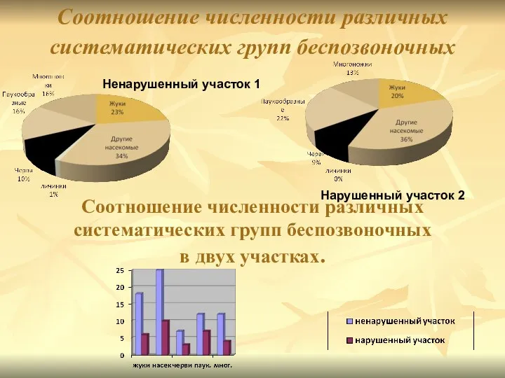 Соотношение численности различных систематических групп беспозвоночных Ненарушенный участок 1 Нарушенный участок 2