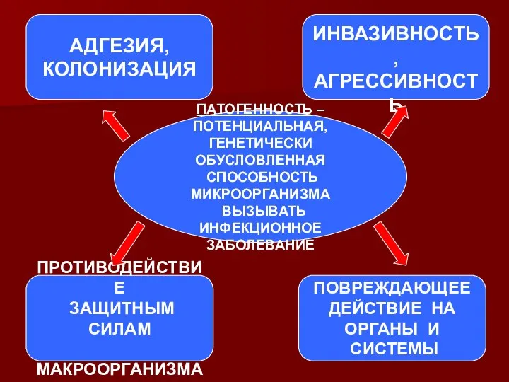 ПАТОГЕННОСТЬ – ПОТЕНЦИАЛЬНАЯ, ГЕНЕТИЧЕСКИ ОБУСЛОВЛЕННАЯ СПОСОБНОСТЬ МИКРООРГАНИЗМА ВЫЗЫВАТЬ ИНФЕКЦИОННОЕ ЗАБОЛЕВАНИЕ АДГЕЗИЯ, КОЛОНИЗАЦИЯ