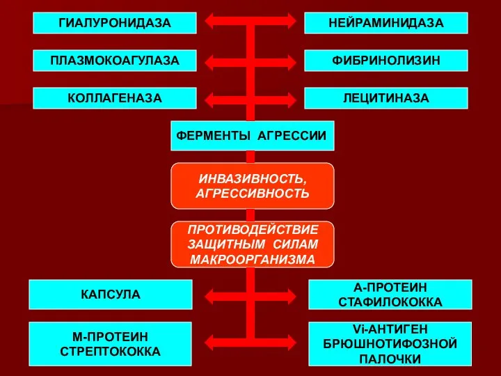 ИНВАЗИВНОСТЬ, АГРЕССИВНОСТЬ ПРОТИВОДЕЙСТВИЕ ЗАЩИТНЫМ СИЛАМ МАКРООРГАНИЗМА ГИАЛУРОНИДАЗА КОЛЛАГЕНАЗА ЛЕЦИТИНАЗА ПЛАЗМОКОАГУЛАЗА ФИБРИНОЛИЗИН НЕЙРАМИНИДАЗА