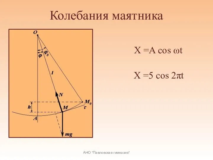 Колебания маятника X =A cos ωt АНО "Павловская гимназия" X =5 cos 2πt