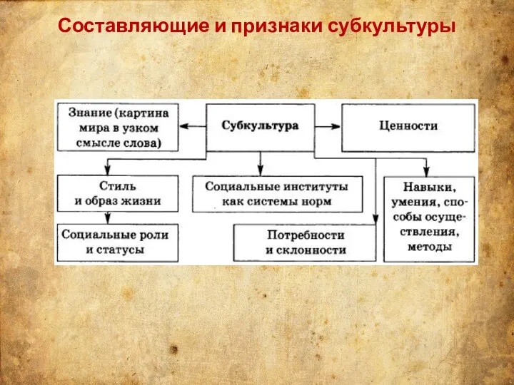 Составляющие и признаки субкультуры