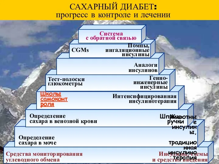 Средства мониторирования углеводного обмена Инсулины, схемы и средства введения Интенсифицированная инсулинотерапия Животные