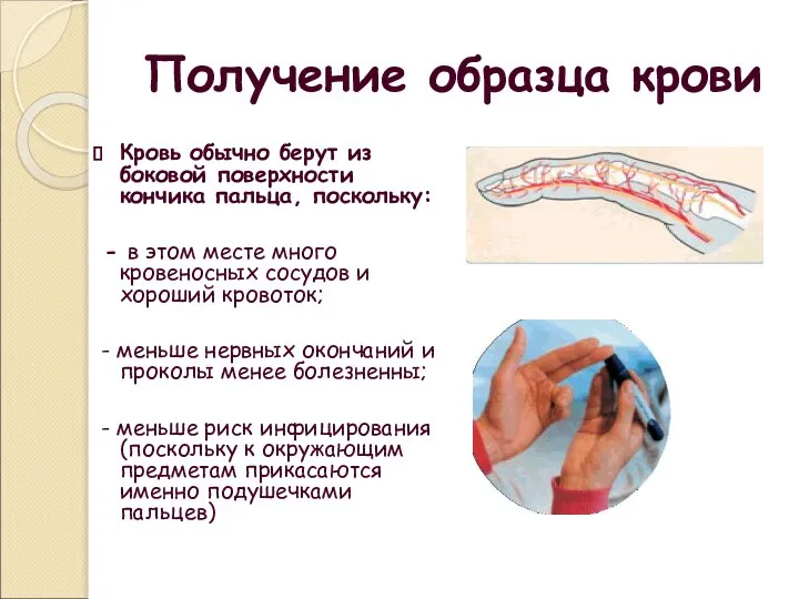 Получение образца крови Кровь обычно берут из боковой поверхности кончика пальца, поскольку: