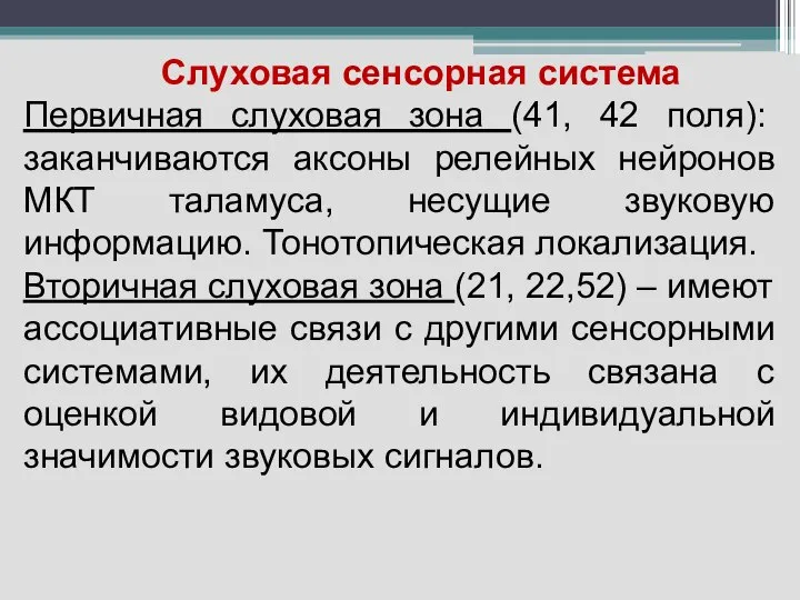 Слуховая сенсорная система Первичная слуховая зона (41, 42 поля): заканчиваются аксоны релейных