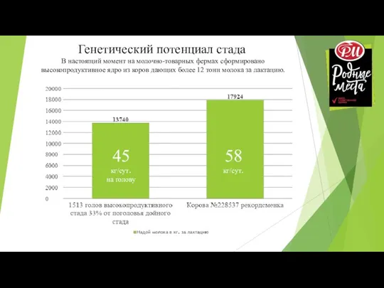 В настоящий момент на молочно-товарных фермах сформировано высокопродуктивное ядро из коров дающих