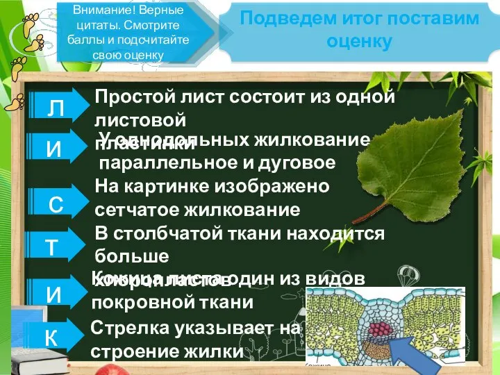 Внимание! Верные цитаты. Смотрите баллы и подсчитайте свою оценку Подведем итог поставим