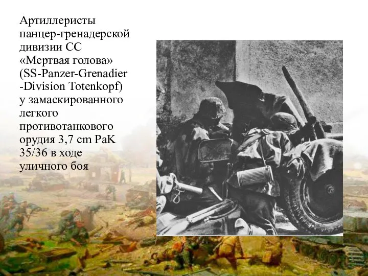 Артиллеристы панцер-гренадерской дивизии СС «Мертвая голова» (SS-Panzer-Grenadier-Division Totenkopf) у замаскированного легкого противотанкового