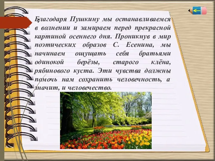 : Благодаря Пушкину мы останавливаемся в волнении и замираем перед прекрасной картиной