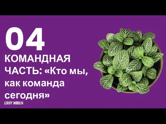 04 КОМАНДНАЯ ЧАСТЬ: «Кто мы, как команда сегодня»