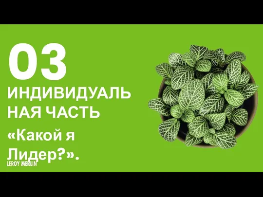 03 ИНДИВИДУАЛЬНАЯ ЧАСТЬ «Какой я Лидер?».