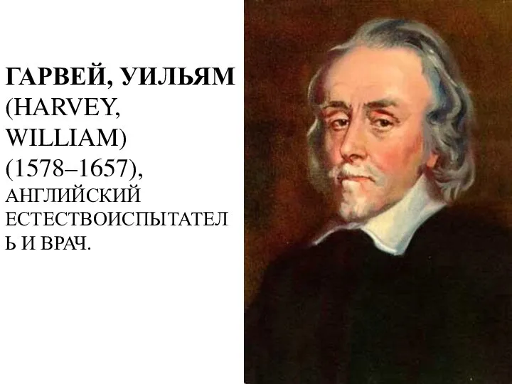 ГАРВЕЙ, УИЛЬЯМ (HARVEY, WILLIAM) (1578–1657), АНГЛИЙСКИЙ ЕСТЕСТВОИСПЫТАТЕЛЬ И ВРАЧ.