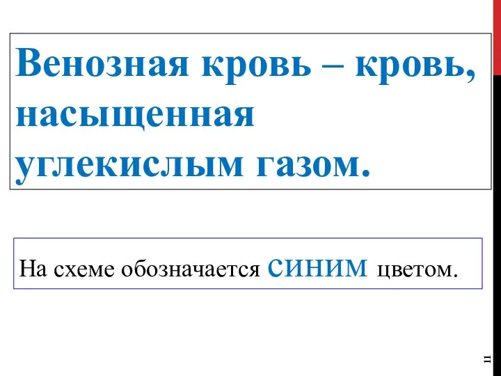 Венозная кровь – кровь, насыщенная углекислым газом. На схеме обозначается синим цветом.