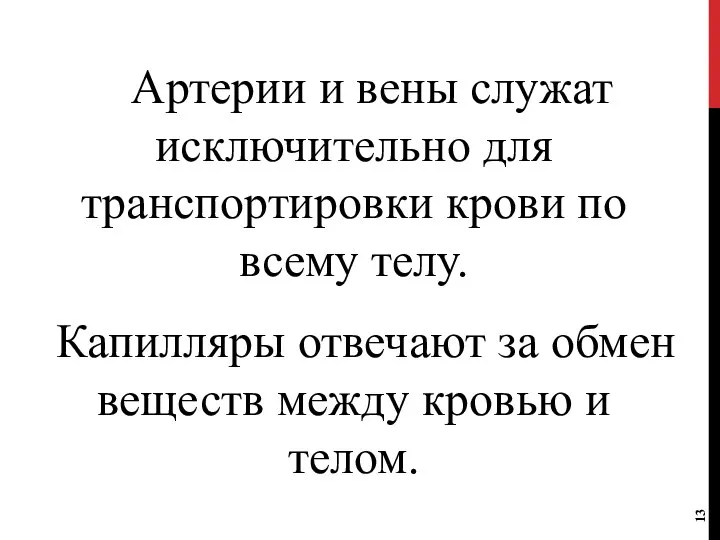 Артерии и вены служат исключительно для транспортировки крови по всему телу. Капилляры