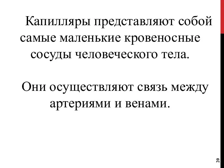 Капилляры представляют собой самые маленькие кровеносные сосуды человеческого тела. Они осуществляют связь между артериями и венами.