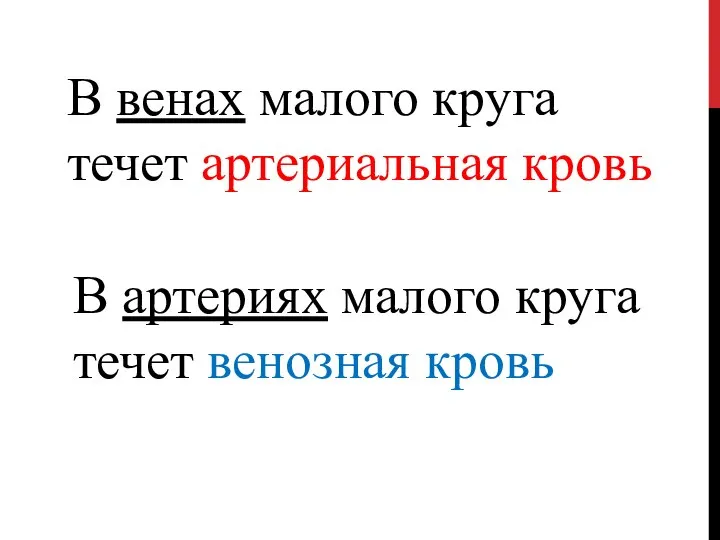 В артериях малого круга течет венозная кровь В венах малого круга течет артериальная кровь