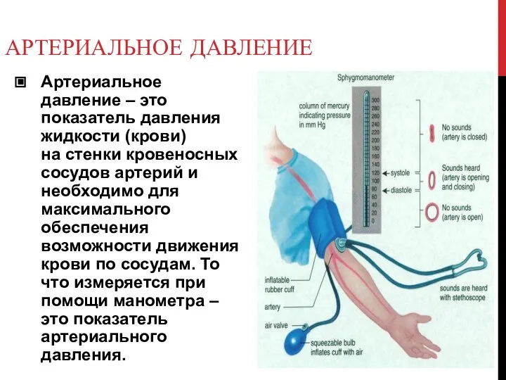 АРТЕРИАЛЬНОЕ ДАВЛЕНИЕ Артериальное давление – это показатель давления жидкости (крови) на стенки