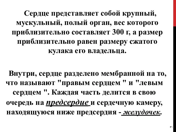 Сердце представляет собой крупный, мускульный, полый орган, вес которого приблизительно составляет 300