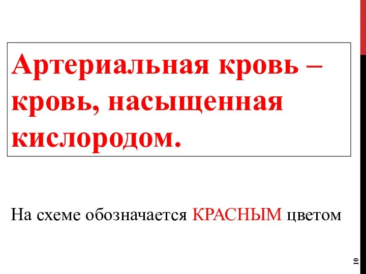 Артериальная кровь – кровь, насыщенная кислородом. На схеме обозначается КРАСНЫМ цветом