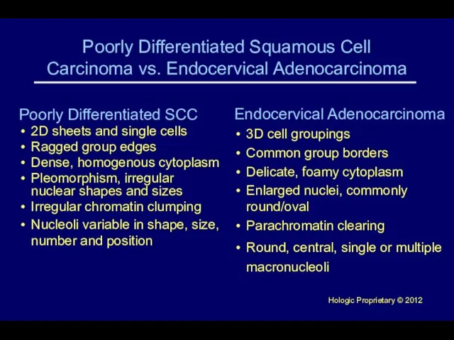 Poorly Differentiated Squamous Cell Carcinoma vs. Endocervical Adenocarcinoma Poorly Differentiated SCC 2D
