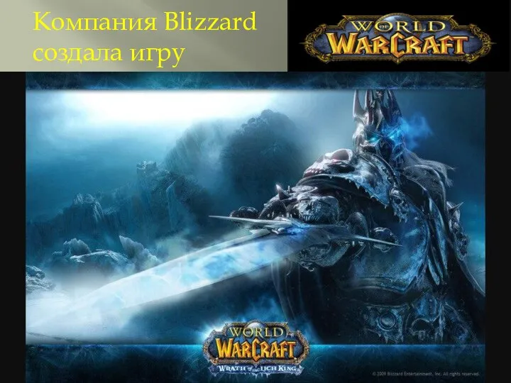 Компания Blizzard создала игру