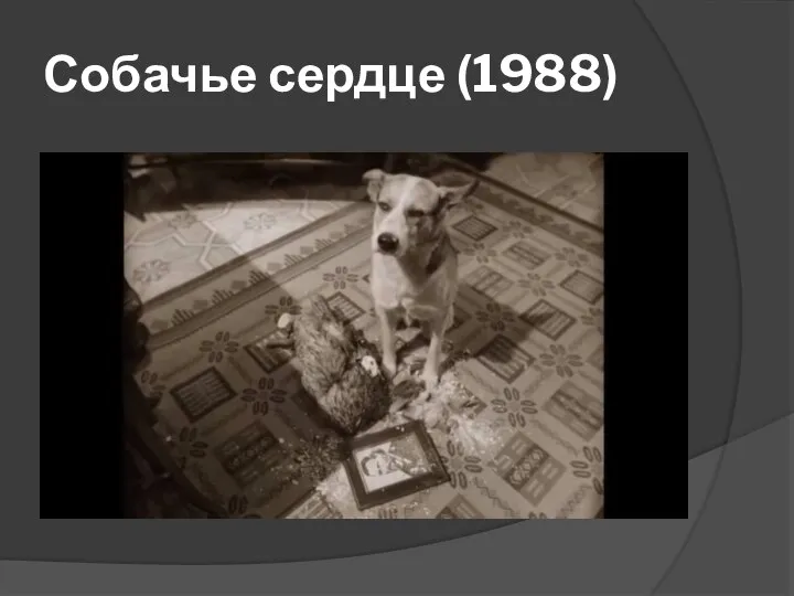 Собачье сердце (1988)
