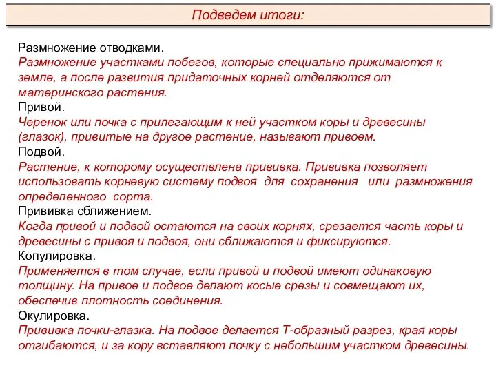 Размножение отводками. Размножение участками побегов, которые специально прижимаются к земле, а после