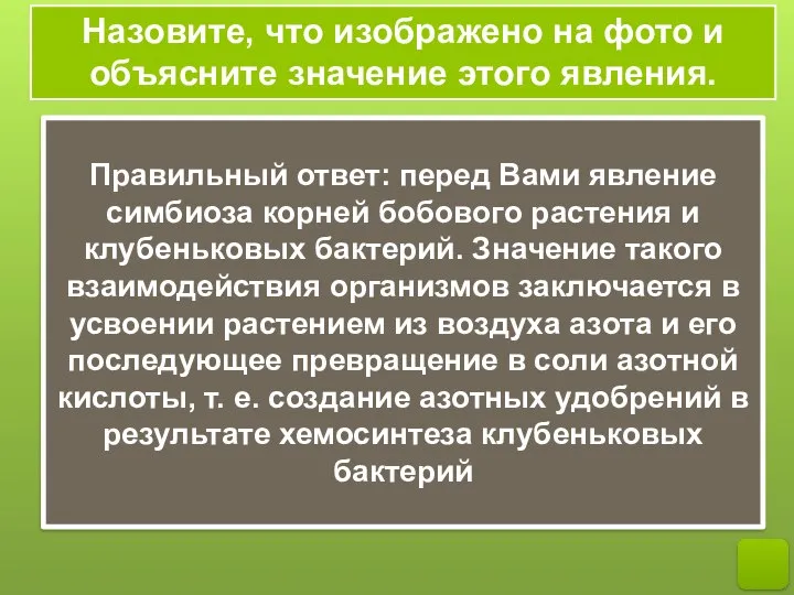 Назовите, что изображено на фото и объясните значение этого явления. Правильный ответ: