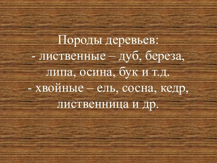 Породы деревьев: - лиственные – дуб, береза, липа, осина, бук и т.д.